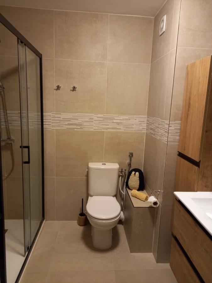 Appartement Cosy Proche Du Lac آنسي المظهر الخارجي الصورة